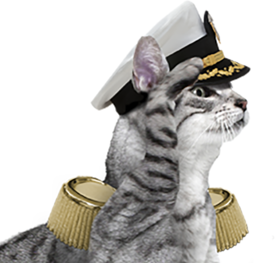 a cat saluting with shoulder pauldrons and a military helmet in front of an american flag